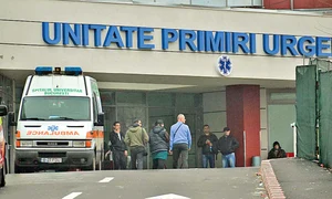 universitar 54121515145 jpeg