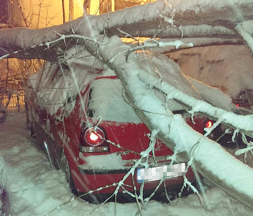 
    Foto: Sever Gheorghe  