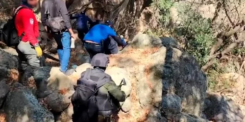 descoperire oseminte Mexic captura video new york post jpg