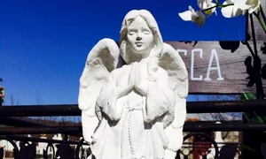 Mormântul mamei Ritei Mureşan (FOTO FACEBOOK) jpeg