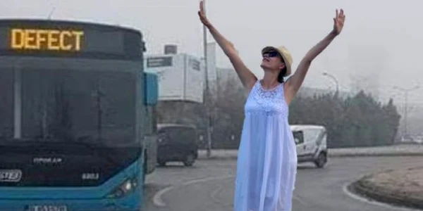 gabriela firea foto facebook 