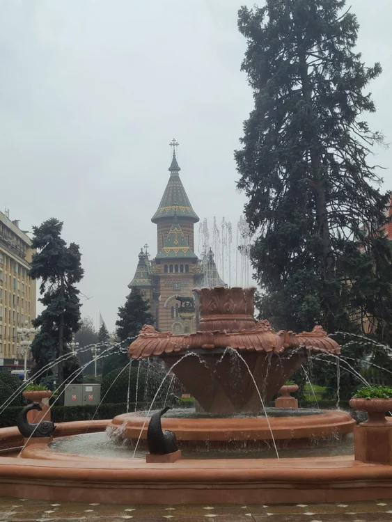 Fântâna cu pești din Timișoara FOTO Ruben Lațcău