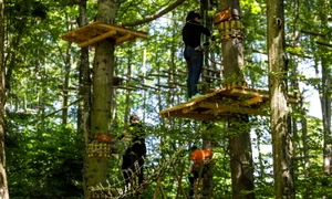 parc aventura brasov 20 jpg