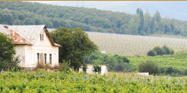 casa duiliu zamfirescu