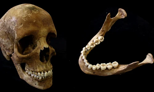 Foto: University of Leicester