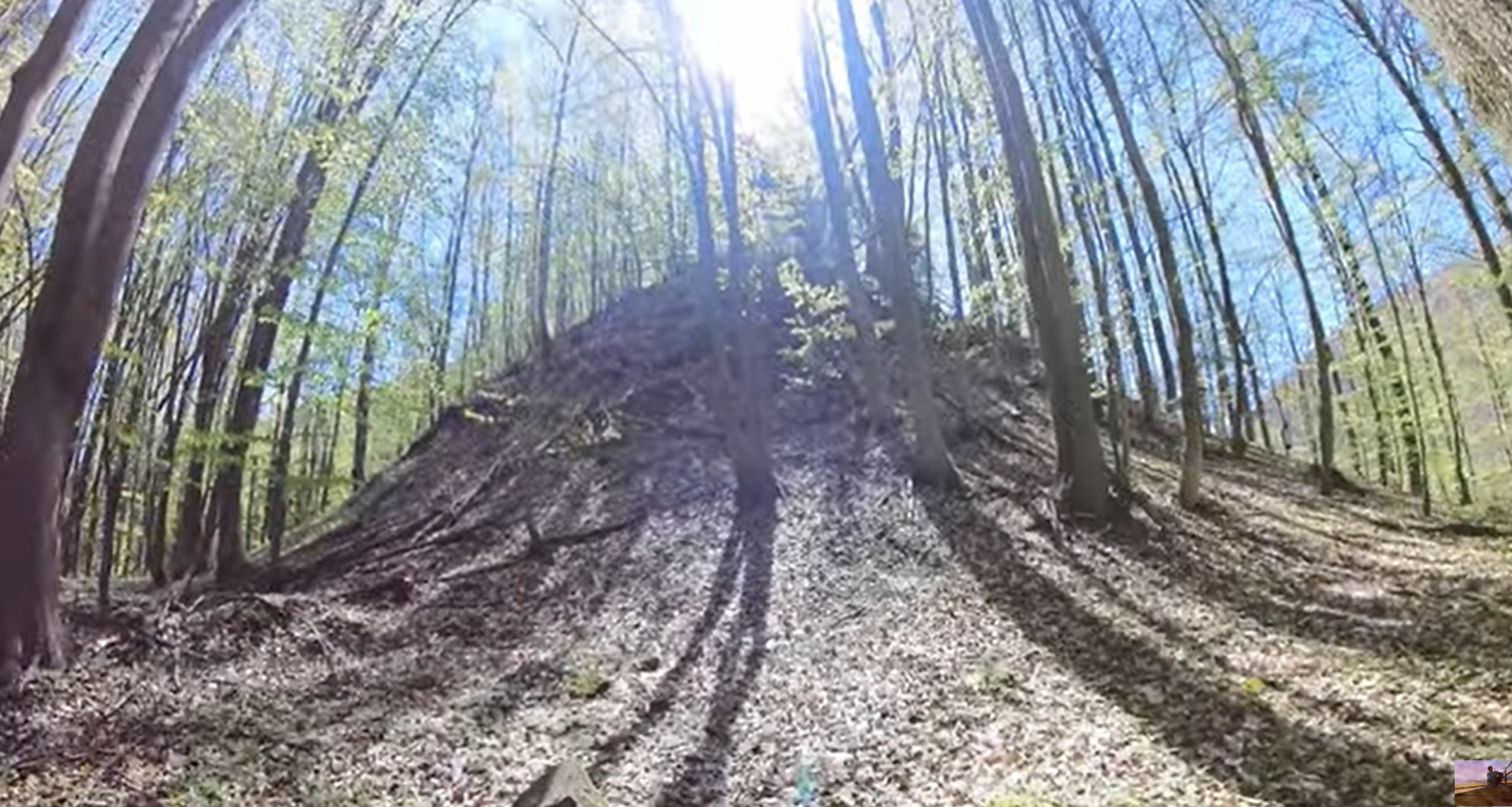 DEALUL PUSTIOSUL jpg