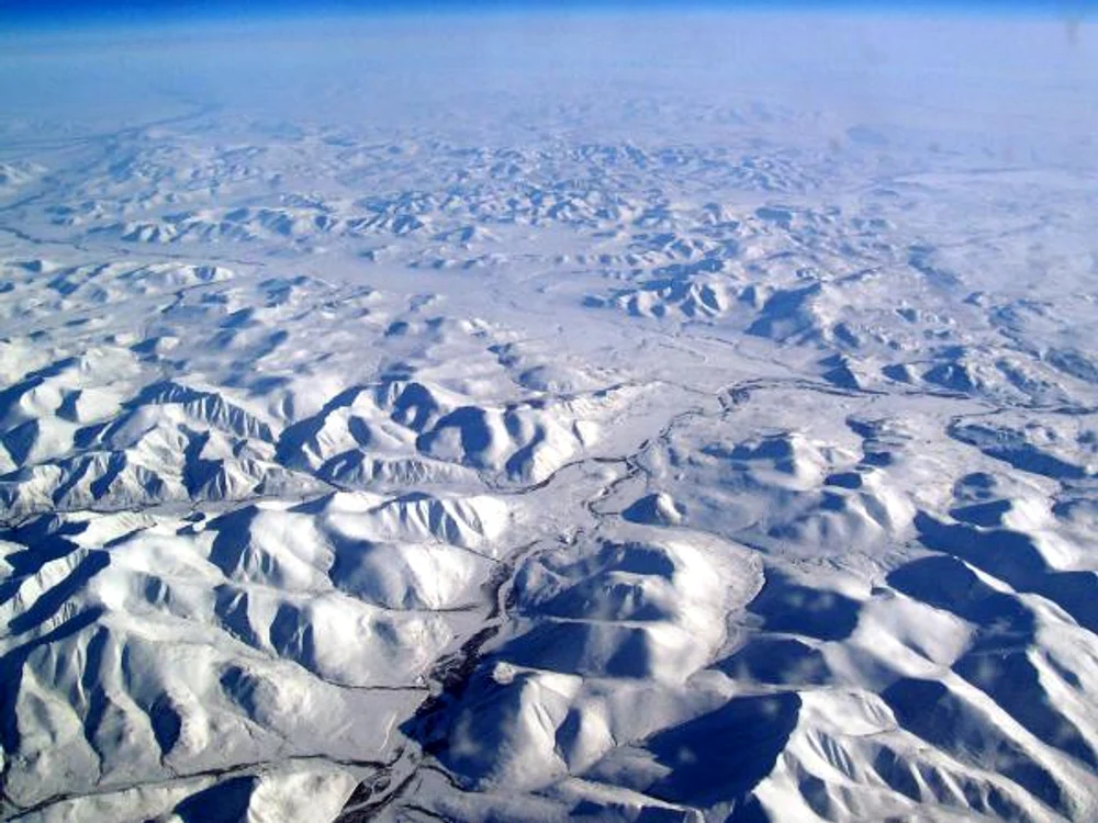 
    Canibalism in Siberia (FOTO Sabotage Times)  