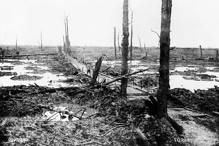 Un pod peste o zonă noroioasă în Flandra, Belgia, 1918.