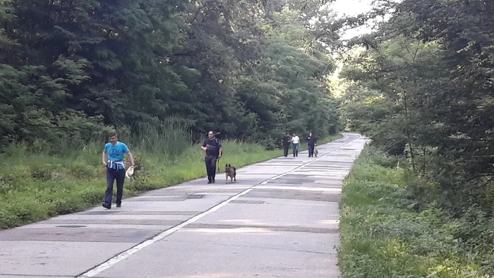 Forţele de ordine îl caută pe bucătarul criminal de la Făget FOTO Ş.Both