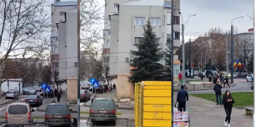 Screenshot 2025 12 10 134546 png