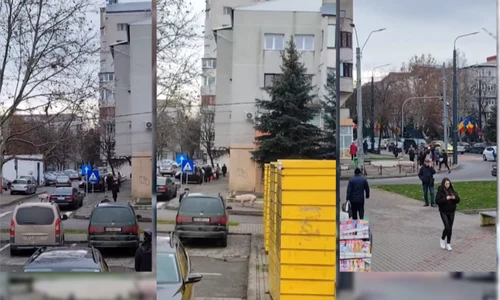 Screenshot 2025 12 10 134546 png