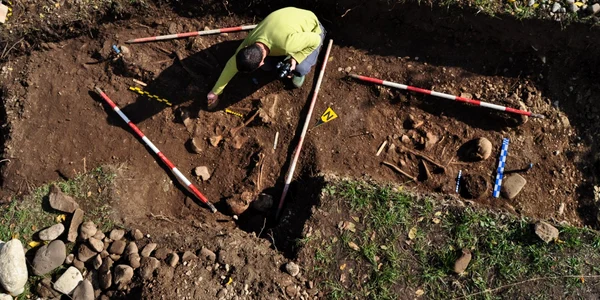 frinculeasa ploiesti 3