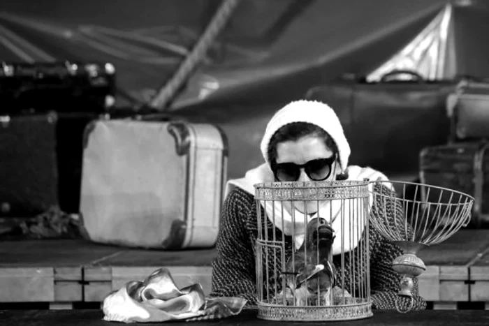 rosencrantz foto cristian munteanu jpg jpeg