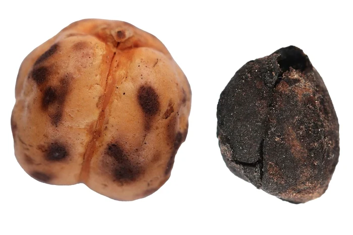 919ec439 c63e 514e f4f6 4eb0fad3cf08 jpg