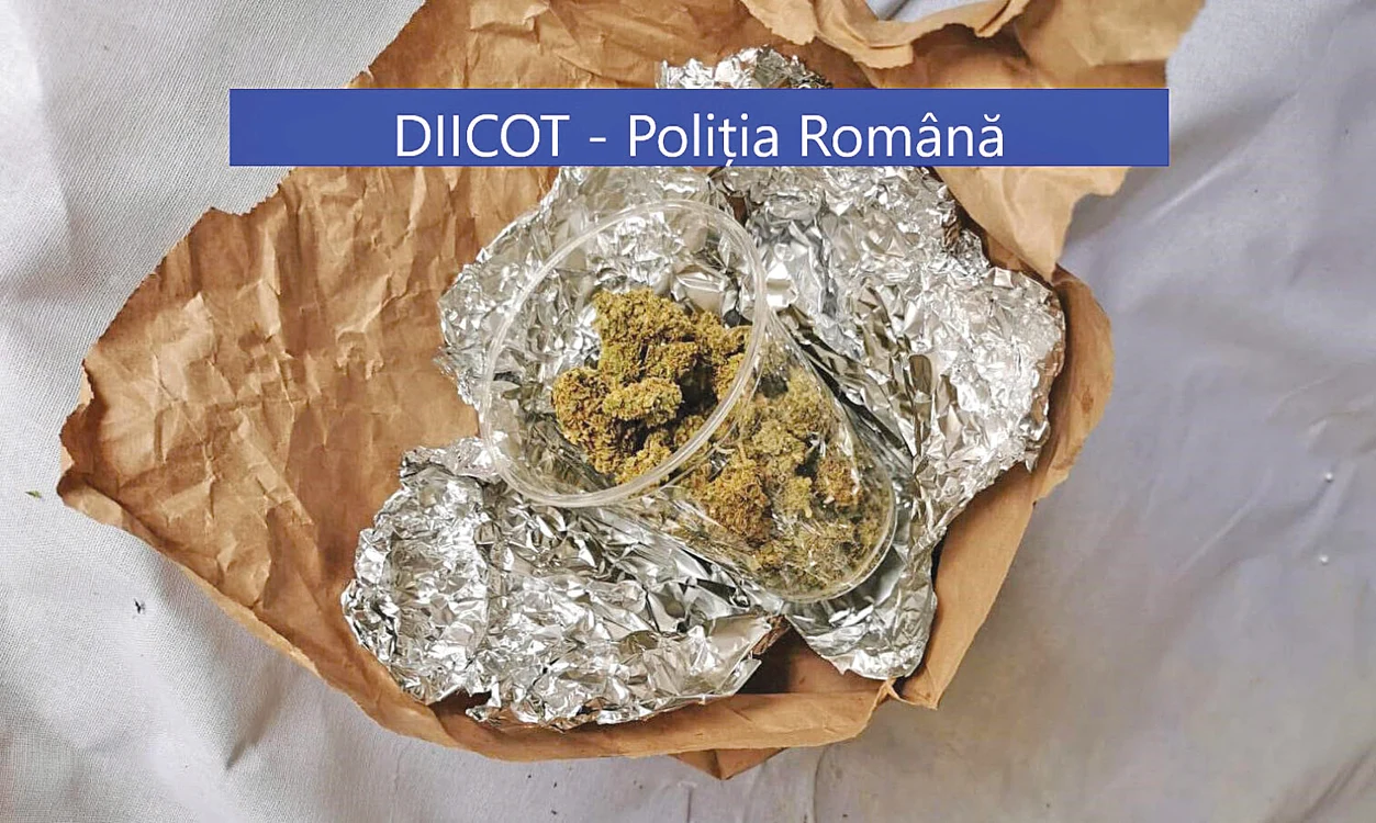 Anchetatorii au confiscat stupefiante în valoare de peste 100.000 de lei