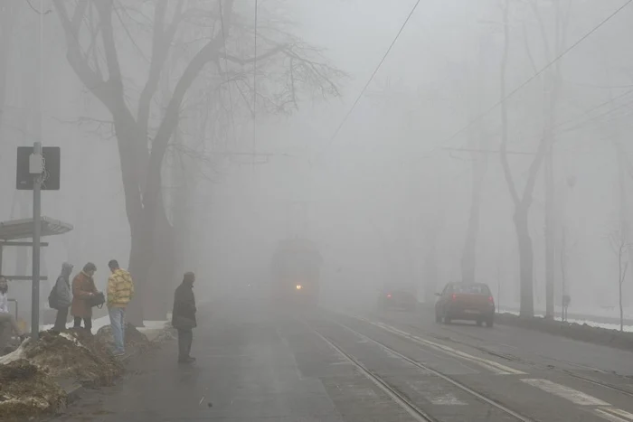 Copoul învăluit în ceaţă