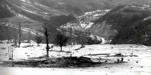 Resturile grajdului in care au ars fratii Susman 12 februarie 1958 jpg