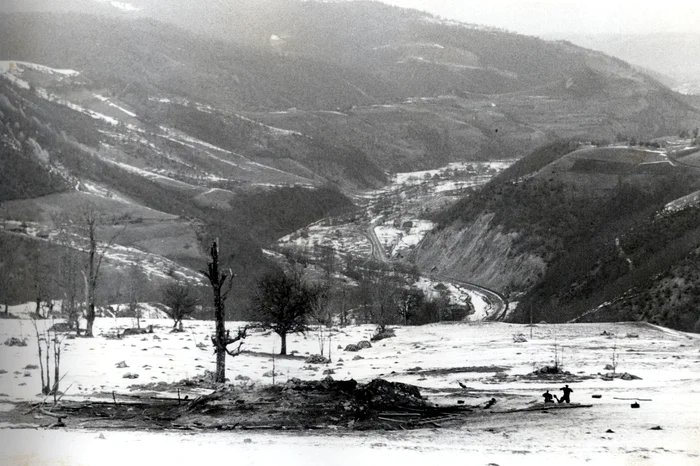 Grajdul în care au ars frații Șușman într-o confruntare cu Securitatea în 1958. FOTO: Arhivă