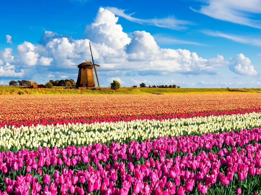 holland jpg jpeg