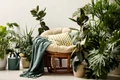 plante flori istock jpg