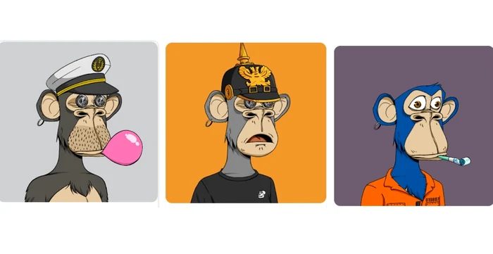 Bored Ape Yacht Club (BAYC), unele dintre cele mai scumpe NFT-uri din lume