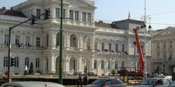primaria din arad
