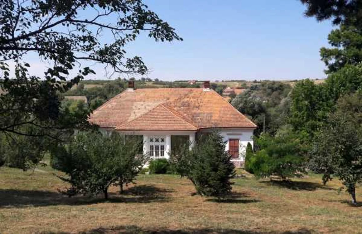 Domeniile de la Murani