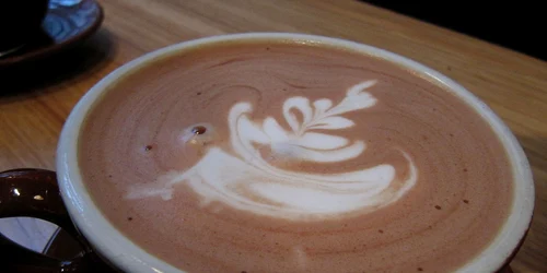 Ciocolata caldă FOTO Wikipedia.org