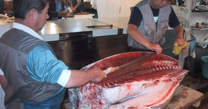 Piaţa de peşte Tsukiji, din Tokyo