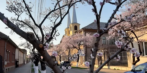 strada revolutiei hunedoara foto daniel guta adevarul