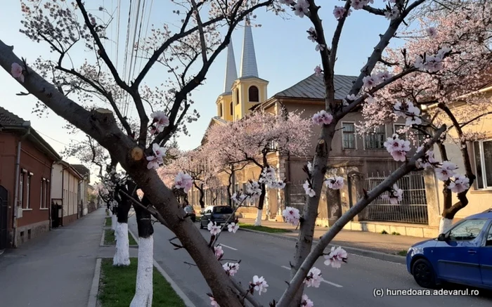 Strada Revoluţiei. Hunedoara. FOTO: Daniel Guţă. ADEVĂRUL.