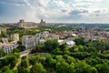 București arbori