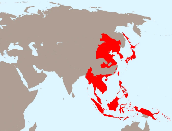 788px Japanese Empire 1942 svg png png