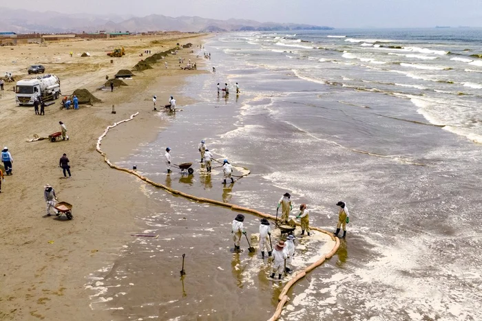Oamenii privesc șocați peștii morți aduși de valuri la țărm  Foto: Getty Images