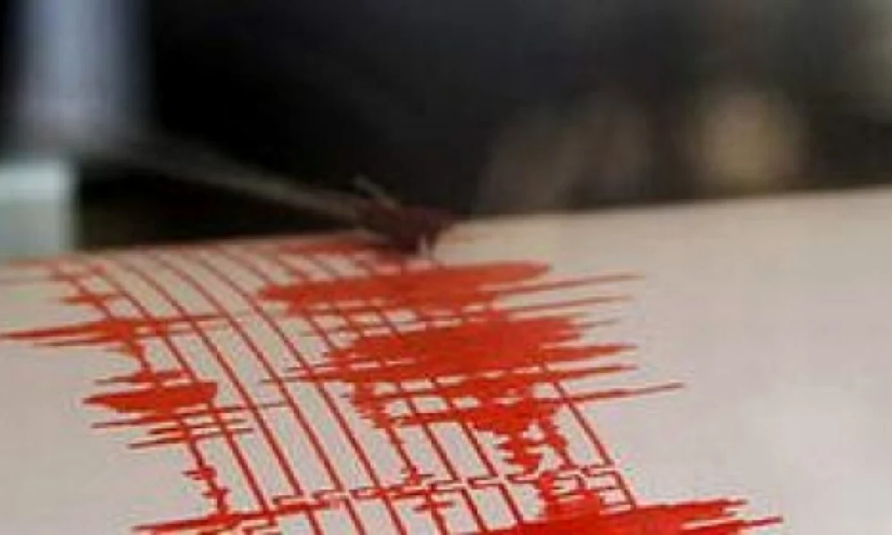 
    În luna august s-au produs deja 10 cutremure în zonele Vrancea și Buzău  