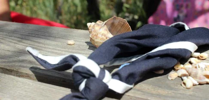 Cercetaşii marini ai României - Argonauţii Tomisului FOTO Facebook Cercetaşii Marini