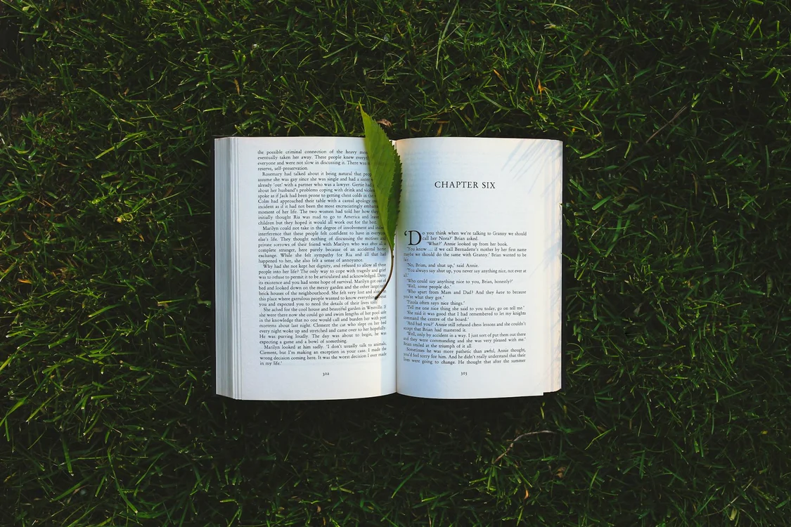 Sursa foto - Pexels
