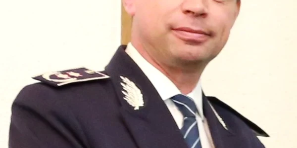 bogdan despescu