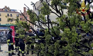 copac Venetia, foto Filippo Attili Departamentul de Pompieri jpg