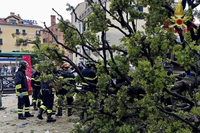 Mai mulţi turişti străini şi doi copii au fost răniţi, după ce un copac uriaș s-a prăbușit brusc peste ei într-o zonă aglomerată din Veneţia