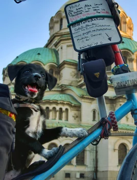 Alex Sidney, un britanic de 20 de ani, a pornit în călătorie în jurul lumii cu bicicleta, alături de un cățel comunitar adoptat din România. FOTO Profimedia