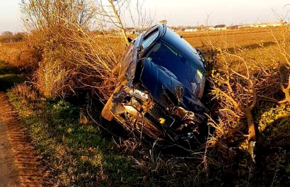 Maşina scăpată de sub control a pus la pământ 3 copaci FOTO IPJ Ialomiţa
