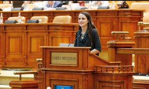 Oana Țoiu Camera deputatilor FOTO MAE png