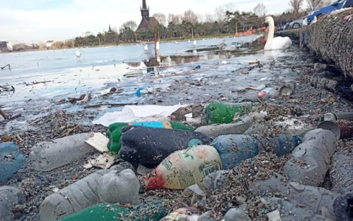 Lac Tăbăcărie FOTO Baricada Verde