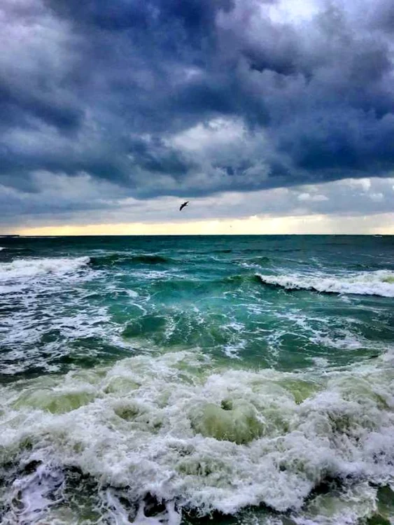 Un fotograf profesionist, Dan Cristian Mihăescu, ne încântă an de an cu imagini de vis de la Marea Neagră