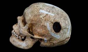 4Mzoc5zWBT3ofVoUj6HD54 png