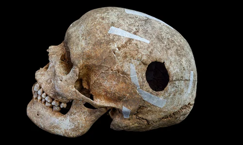 4Mzoc5zWBT3ofVoUj6HD54 png