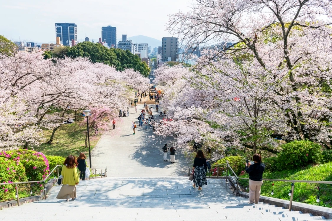 Japonia / Foto: Shutterstock