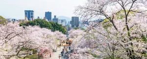 Japonia, foto Shutterstock jpg