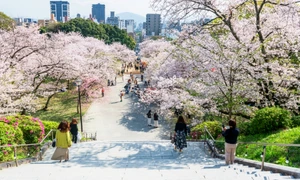 Japonia, foto Shutterstock jpg